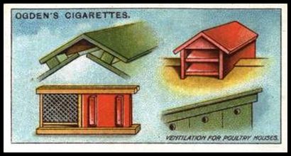 4 Ventilation for Poultry Houses